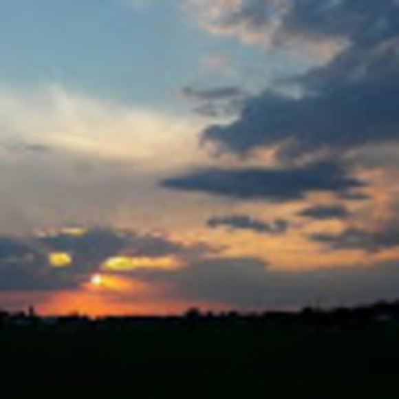 Meet your Posher, Anna - Picture 1 of 1